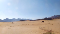 Wadi Rum Vale-01