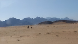 Wadi Rum Vale-02