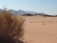 Wadi Rum-05