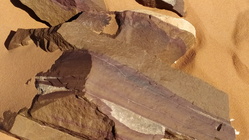 Wadi Rum Vale-20
