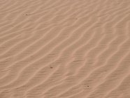 Wadi Rum-06