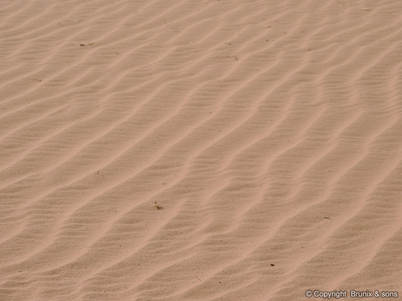 Wadi_Rum-06.jpg