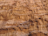 Wadi Rum-110