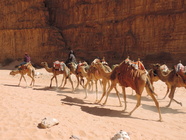 Wadi Rum-116