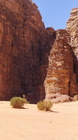 Wadi Rum-123