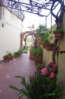 IMGP0399