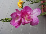 20160330_135158
