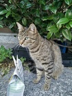 IMG_20160723_204929