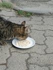 IMG_20160725_192648