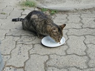 IMG_20160725_194450