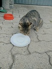 IMG_20160730_193509