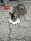 IMG_20160730_193519