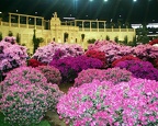 EuroFlora, Aprile 2001