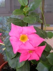 DSCN2167