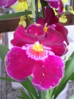 DSCN2170