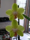DSCN2171