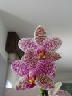DSCN2172