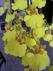 DSCN2174
