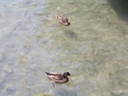 DSCN2478