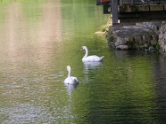 DSCN2481