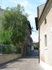 DSCN2488