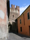 DSCN2491