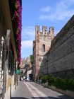 DSCN2496