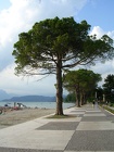 DSCN2505