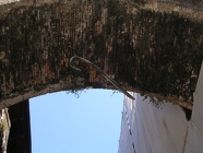 DSCN2383