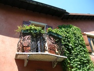 DSCN2407