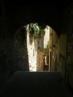 DSCN2408