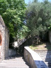 DSCN2409