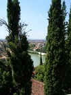 DSCN2410