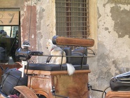 DSCN2435