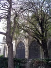 DSCN2886
