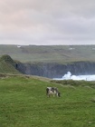 DSCN4261