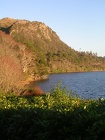 DSCN4367