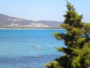 DSCN5637