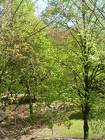 DSCN5815