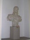 DSCN5354