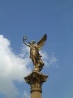 DSCN5976