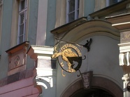 DSCN5879