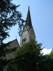 DSCN6204