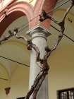 DSCN0789