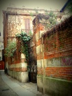 DSCN0800