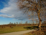 DSCN0675