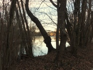 DSCN0695