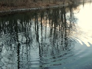 DSCN0708