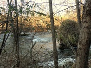 DSCN0712