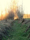 DSCN0725
